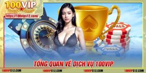 Tổng quan về dịch vụ 100VIP đang thực hiện